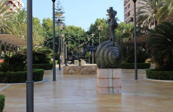 Local en alquiler en Marbellla